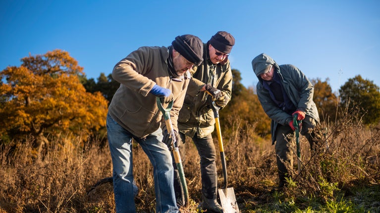 Volunteer rangers planting trees at Oxburgh Hall, Norfolk